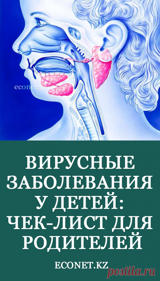 Вирусные заболевания у детей: чек-лист для родителей

Детские инфекции относятся к группе болезней, которые чаще всего диагностируются в раннем возрасте, передаются от заболевшего к здоровому, и приобретают распространение в виде эпидемий. Обычно, такая болезнь длится не более недели, бывает один раз, а организм вырабатывает сильный иммунитет на всю жизнь.