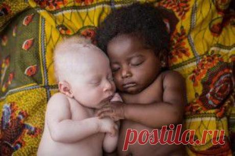 Эти кадры заденут каждого, у кого есть сердце