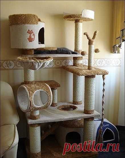 Фотографии ДОМИКИ и КОГТЕТОЧКИ для КОШЕК | 4 альбома