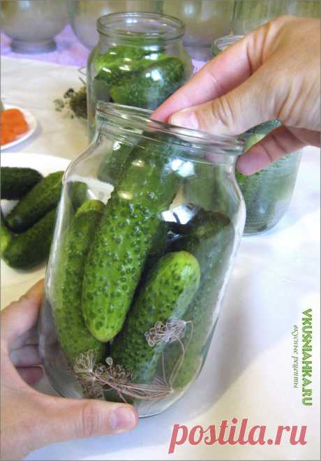 Вкусные маринованные огурцы на зиму..