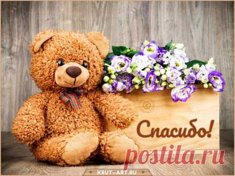 открытки спасибо https://postila.ru/post/80827437