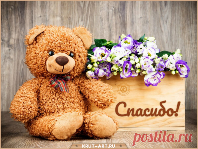 открытки спасибо https://postila.ru/post/80827437