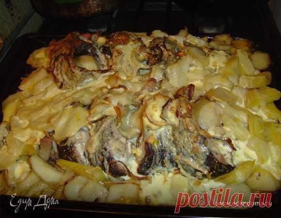 Карп запечённый в сметане.. Ингредиенты: соль, карп, сметана Карп запечённый в сметане.. Ингредиенты: соль, карп, сметана | Кулинарный сайт Юлии Высоцкой: рецепты с фото