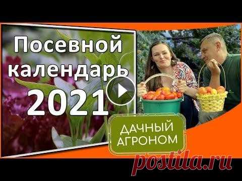 Спланируй идеальный 2021 Календарь садовода-огородника Что и когда сеять Профессионалы раскрывают карты: календарь садовода-огородника на 2021 год поможет сделать все правильно и в срок, чтобы получить великолепный вкусный ...