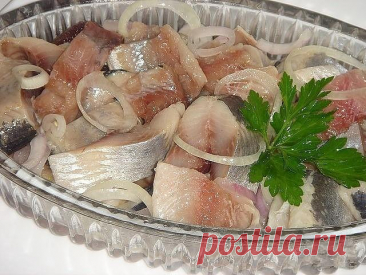 Обалденная сельдь в горчично-уксусной заливке — вкуснее не бывает! — Сад Заготовка
