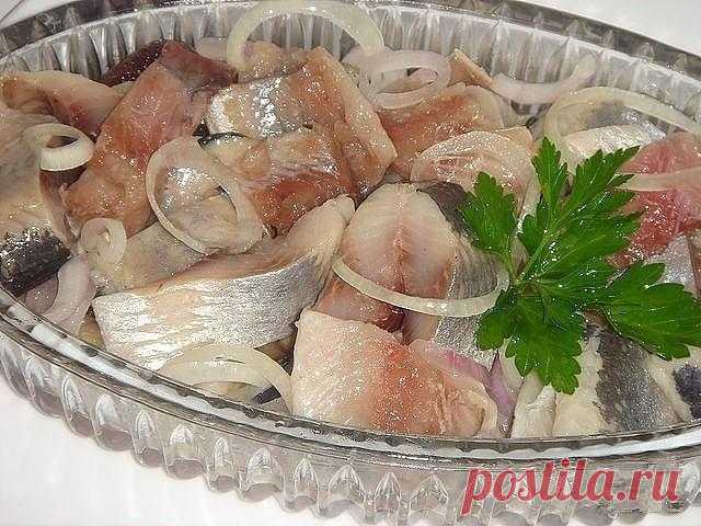 Обалденная сельдь в горчично-уксусной заливке — вкуснее не бывает! — Сад Заготовка