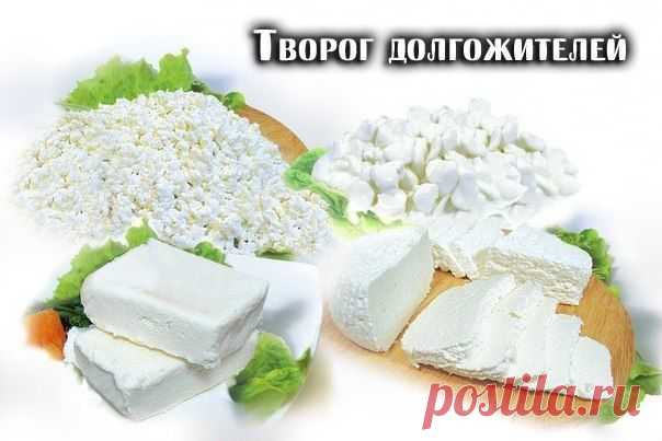 Творог долгожителей