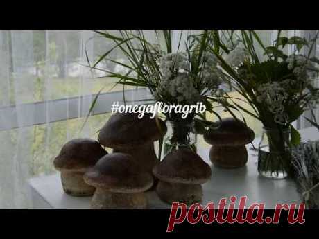 Гриб из бетона от  Onega Flora & Kuriosa