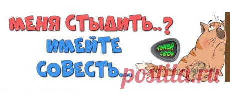 Меня стыдить..?
Имейте совесть...

#uznay_seba