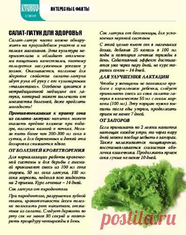 Салат-латук для здоровья