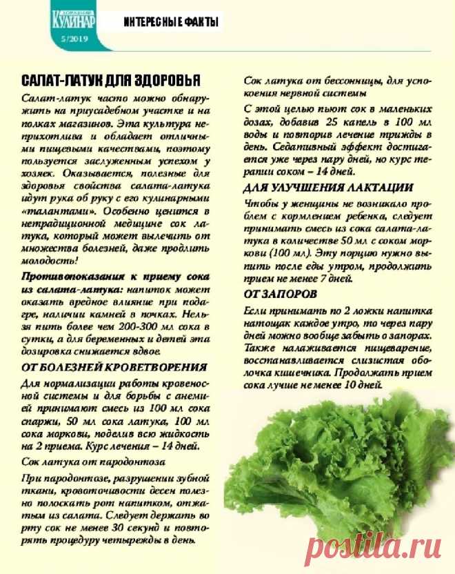 Салат-латук для здоровья