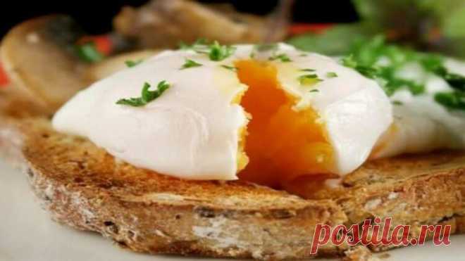 9 продуктов, которые разъедают жир! Минус 4 кг за месяц, но без намека на голод
