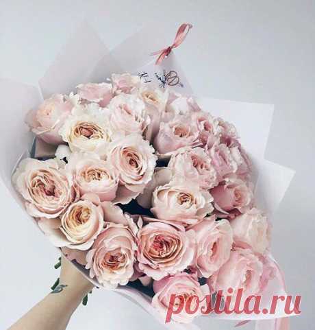 Доброе утро! / Логика моды