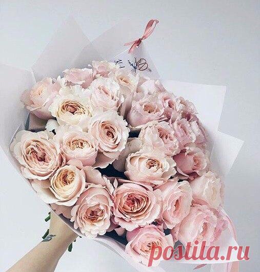 Доброе утро! / Логика моды