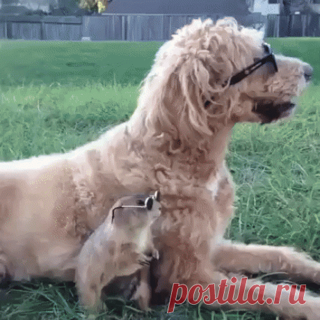 ЖИВЫЕ ФОТОГРАФИИ. AMAZING GIF. – Google+