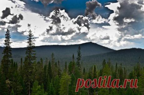 ФОТОМАСТЕРСКАЯ ПРИРОДЫ
Василий Журавлёв