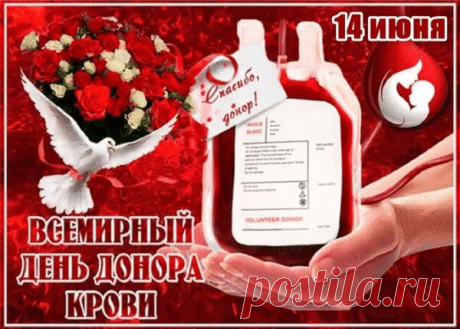 С Днём донора крови тебя поздравляю,
Здоровья отменного, сил пожелаю,
Пусть жизней немало удастся спасти
На этом своём благородном пути. Открытки на Всемирный день донора крови!