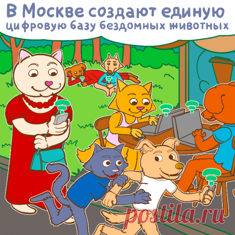 Столичное правительство работает над созданием общей электронной базы для всех приютов бездомных животных. В ней будут собраны анкеты собак и кошек, оказавшихся на попечении приютов.
