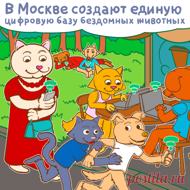 Столичное правительство работает над созданием общей электронной базы для всех приютов бездомных животных. В ней будут собраны анкеты собак и кошек, оказавшихся на попечении приютов.