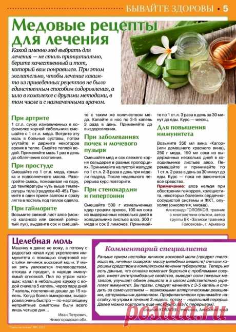 Медовые рецепты для лечения