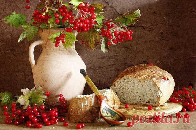 Фотографии ✿ܓЕлена Н. - 7164 фото в Моем Мире.
