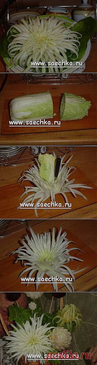 Хризантема из пекинской капусты | рецепты на Saechka.Ru