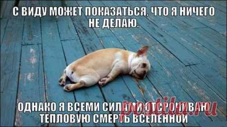 Физики тоже шутят: самые смешные открытки про науку! ( 32 фото ) . Тут забавно !!!