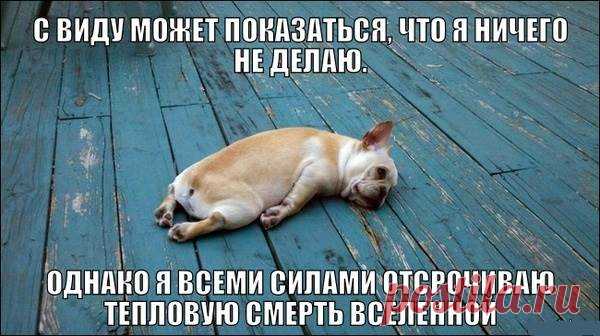 Физики тоже шутят: самые смешные открытки про науку! ( 32 фото ) . Тут забавно !!!