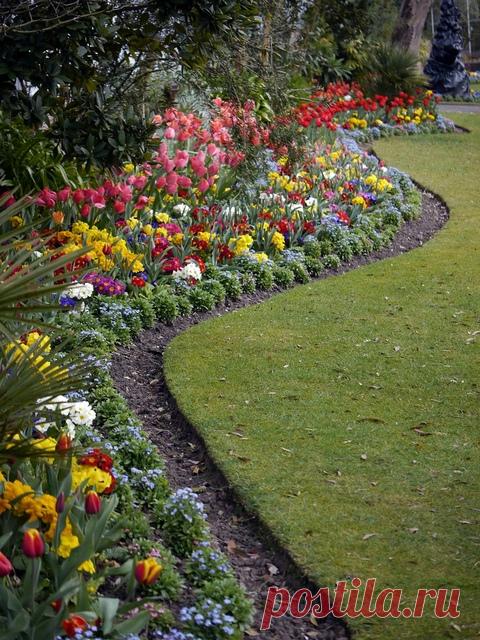 Переделка старого цветника или клумбы