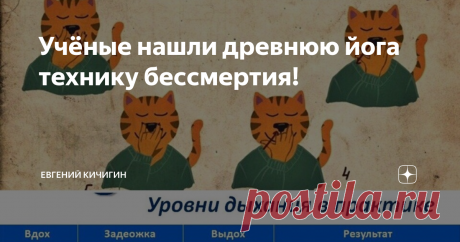 Учёные нашли древнюю йога технику бессмертия! Дыхательная техника Анулома - Вилома -это королева пранаям, которая не только поможет улучшить здоровье, но и по информации из древних источников возвращает молодость!
Уровни практики Ануломы Виломы
Во время выполнения данной дыхательной техники повышается уровень углекислого газа в крови, что запускает, процесс апопоза (регулируемый процесс программируемой клеточной гибели), многократно