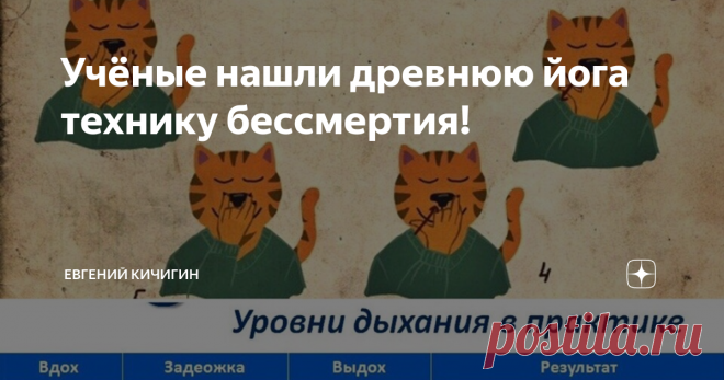 Учёные нашли древнюю йога технику бессмертия! Дыхательная техника Анулома - Вилома -это королева пранаям, которая не только поможет улучшить здоровье, но и по информации из древних источников возвращает молодость!
Уровни практики Ануломы Виломы
Во время выполнения данной дыхательной техники повышается уровень углекислого газа в крови, что запускает, процесс апопоза (регулируемый процесс программируемой клеточной гибели), многократно