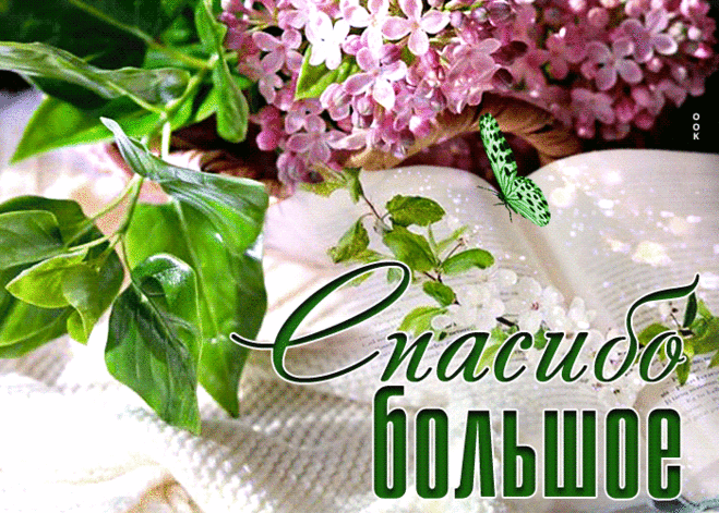 Нежная гиф-открытка, дарю слова благодарности мои вам