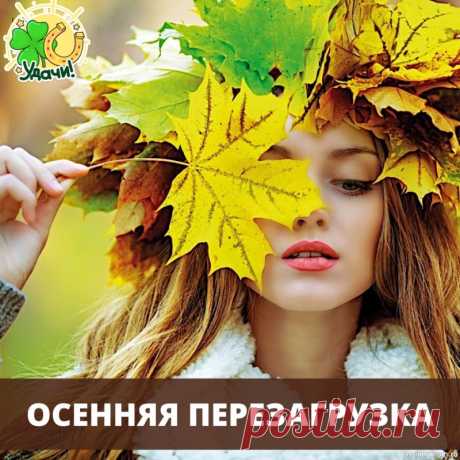 Секреты красоты. Уход за Кожей Лица Осенью Золотые Рецепты для Сияния и Защиты...🍁🍂✨&nbsp;1= Маска “Медовый Бархат”:&nbsp;Действие: Интенсивное увлажнение, смягчение, питание.&nbsp;Ингредиенты:&nbsp;1 ч.л. меда (если нет аллергии)&nbsp;1 ч.л. оливкового или миндального масла&nbsp;1/2 ч.л. жирного йогурта или сметаны (по...