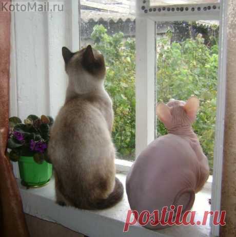 Наслаждение красотой