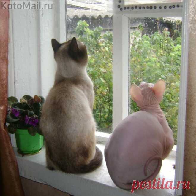 Наслаждение красотой