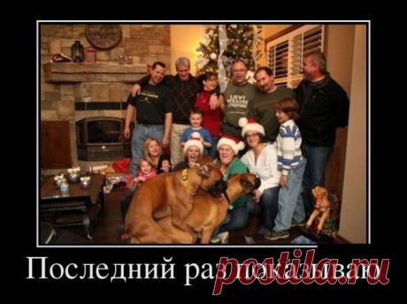 Демотиваторы на 7.09.2015г | Чёрт побери