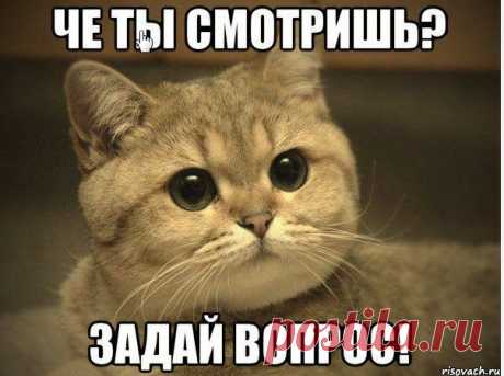 Мария Коротина