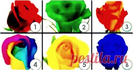 Тест: выберите розу, чтобы исправить собственные недостатки
Здравствуйте Уважаемые подписчики и гости канала. Для Вас мы приготовили еще один интересный психологический тест по картинкам. Он предназначен для тех, кто хочет узнать о себе что-то новое. Ваши предпочтения в цвете расскажут о вас интересные вещи. Этот тест разработали психологи, изучающие воздействие цвета на состояние человека. От вас требуется лишь внимательно посмотреть на изображение […]
Читай дальше на сайте. Жми подробнее ➡