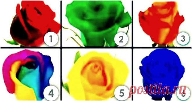 Тест: выберите розу, чтобы исправить собственные недостатки
Здравствуйте Уважаемые подписчики и гости канала. Для Вас мы приготовили еще один интересный психологический тест по картинкам. Он предназначен для тех, кто хочет узнать о себе что-то новое. Ваши предпочтения в цвете расскажут о вас интересные вещи. Этот тест разработали психологи, изучающие воздействие цвета на состояние человека. От вас требуется лишь внимательно посмотреть на изображение […]
Читай дальше на сайте. Жми подробнее ➡