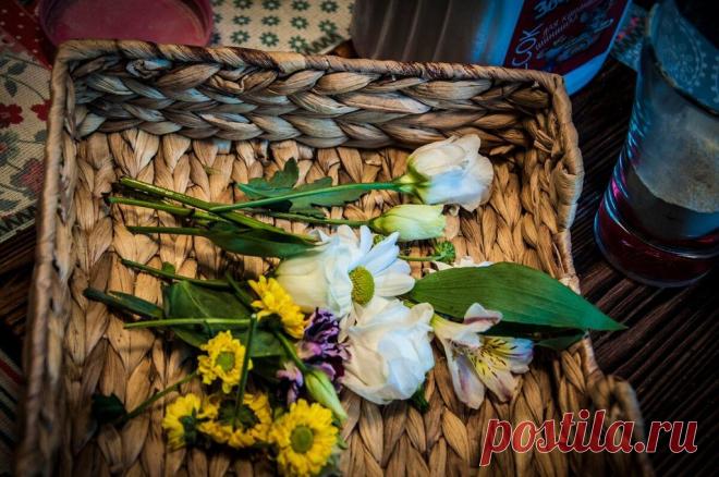 3D флористика в микроволновке | Живые Вещи | Пульс Mail.ru Рассказываю, как при помощи песка для купания шиншилл сохранить цветы словно они живые