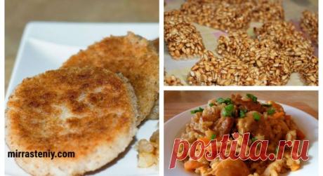 Вот 5 блюд из перловки, которые понравятся даже мужу — Мир интересного