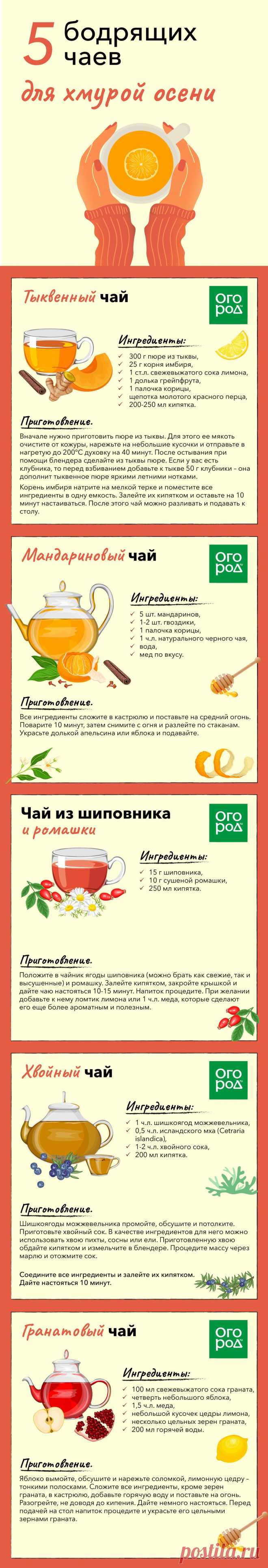 5 бодрящих чаев для хмурой осени