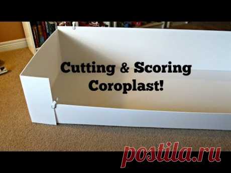 Coroplast Base: How To Cut & Score For C&C Cages