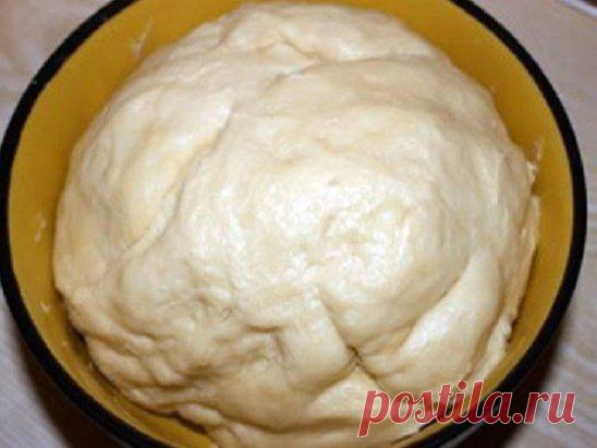 Тесто на майонезе для любой начинки