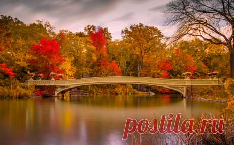 Central Park in Foliage by John S / 500px