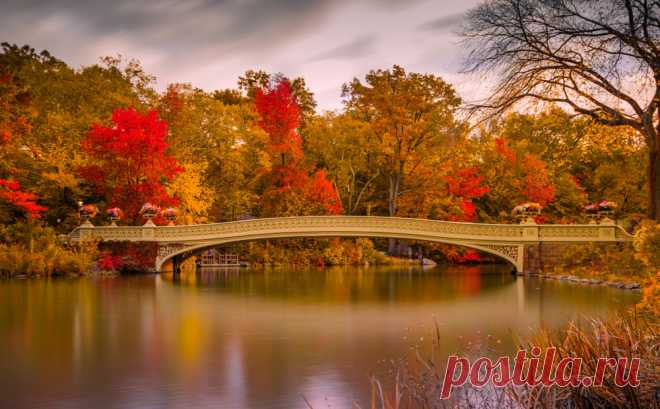 Central Park in Foliage by John S / 500px