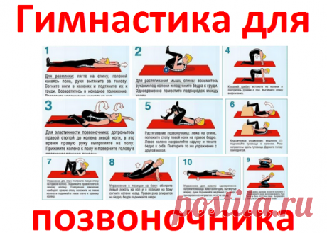 Гимнастика для позвоночника | Советы целительницы