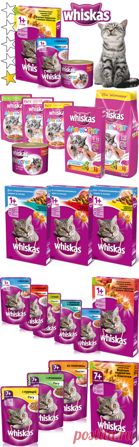 Корм для кошек Вискас (Whiskas): обзор, виды, состав, отзывы