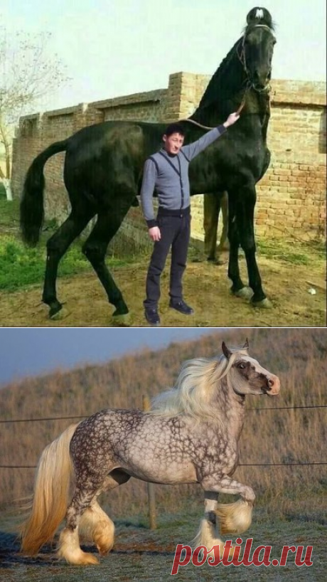 6 непрочитанных чатов