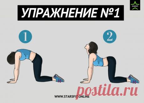 Болит поясница? Делай эти 7 упражнений для профилактики. | STARSFIT - здоровый образ жизни | Яндекс Дзен
